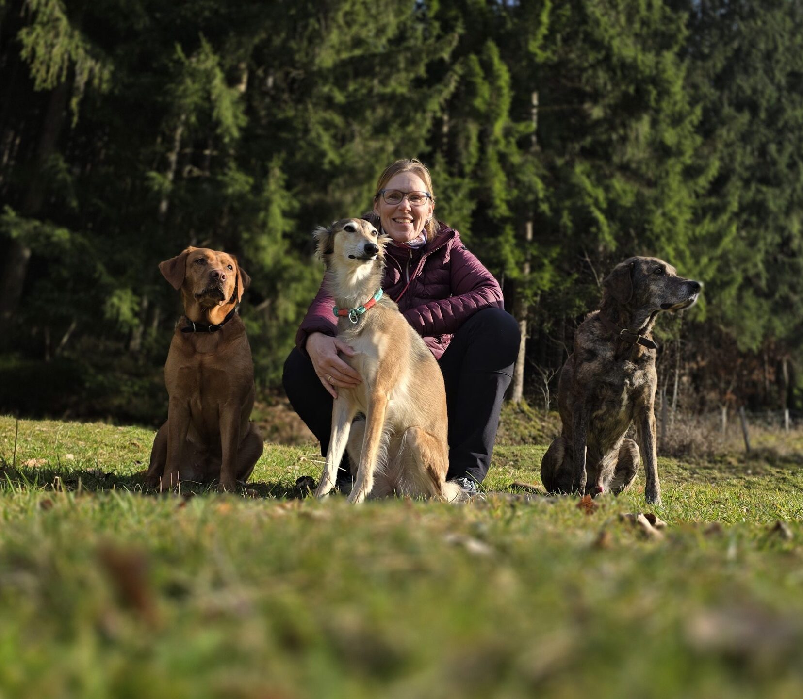 Coaching im Elztal